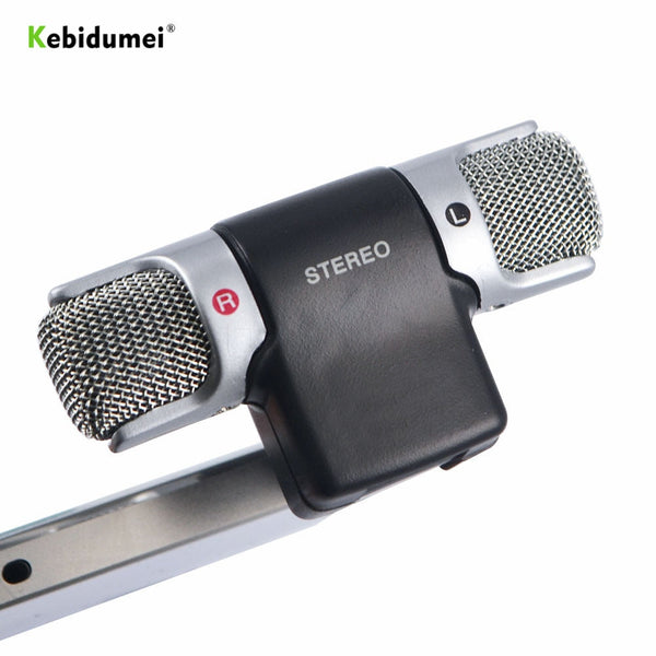 Mini Digital Stereo Microphone
