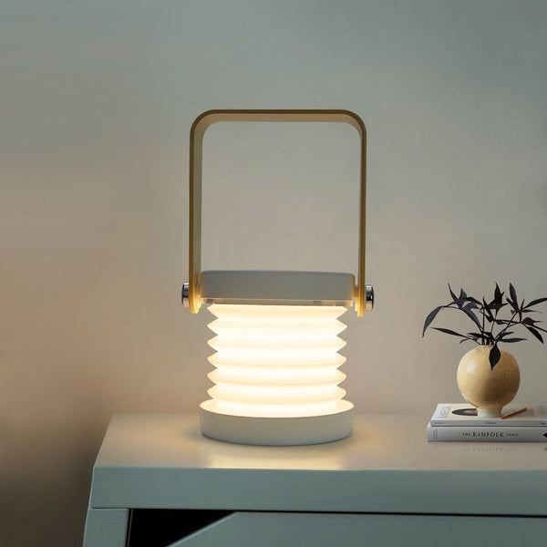 Modern Multi-Purpose Lamp