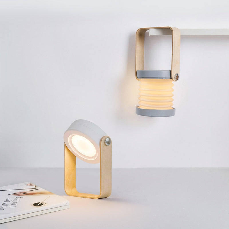 Modern Multi-Purpose Lamp