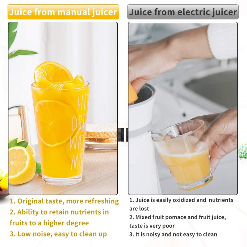 Stainless Steel Juicer