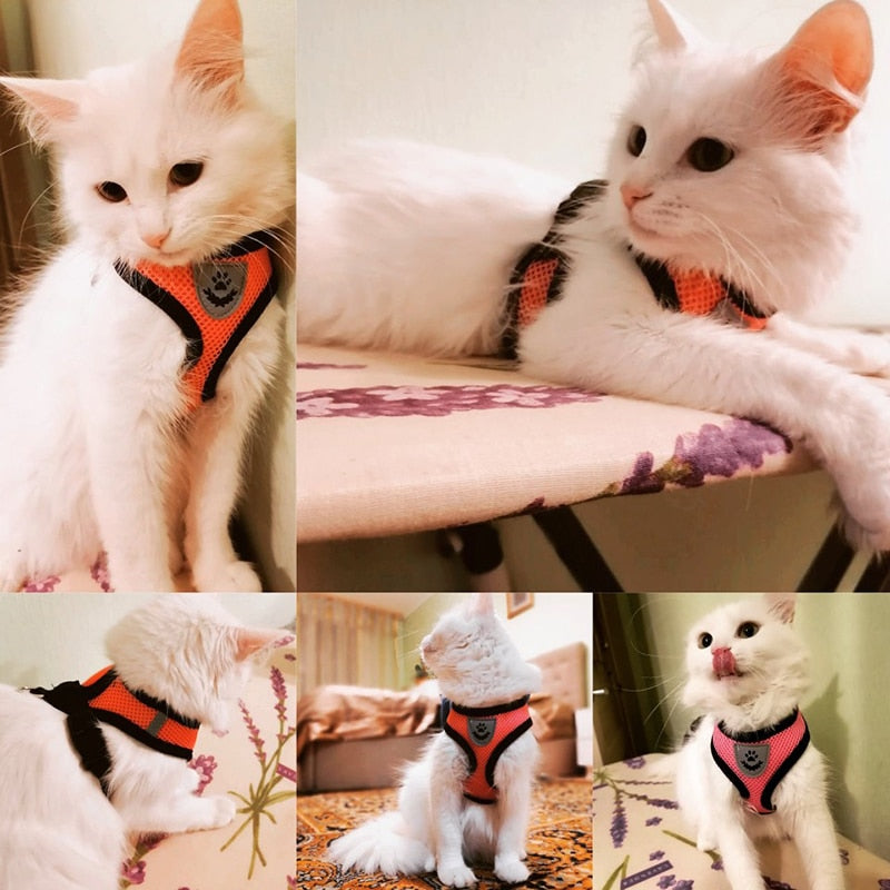 Adjustable Cat Harness and Leash