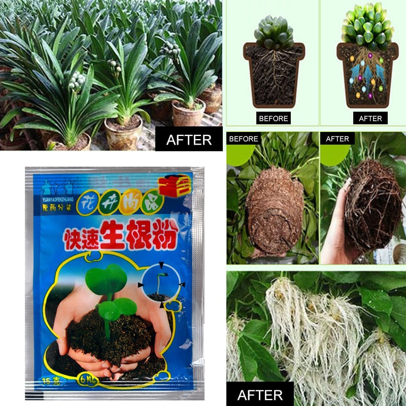 Growth Rooting Powder Plus (Original Product)